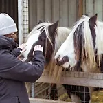 Huisje op Bioboerderij, kust, polder en rust