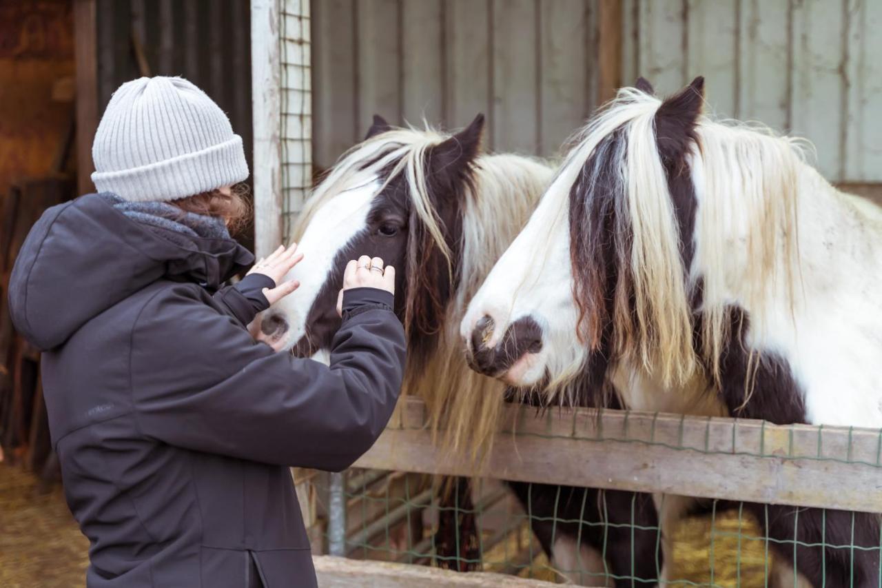 Op Bioboerderij, Kust, Polder En Rust